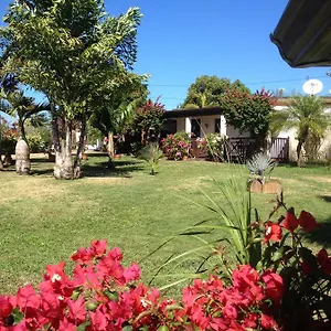 Le Des Bougainvilliers Ducos